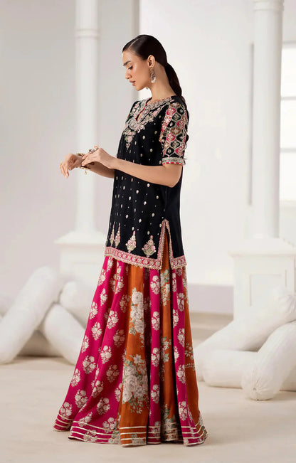 9000 Velvet Luxury Embroidered 2pc Article