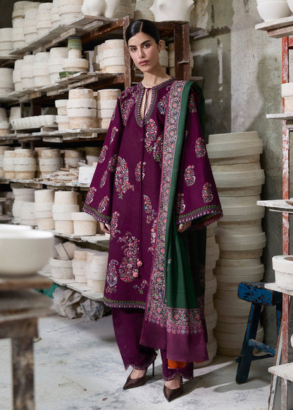 Dhanak Embroidered 3pc Article With Wool Shawl