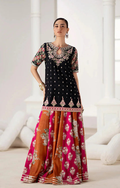 9000 Velvet Luxury Embroidered 2pc Article