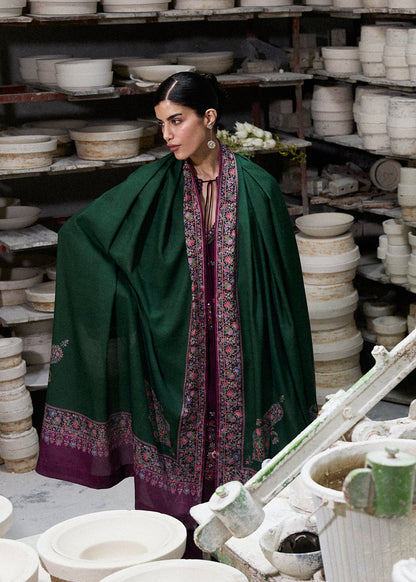 Dhanak Embroidered 3pc Article With Wool Shawl