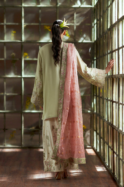 11000 Velvet Embroidered Luxury 3pc Article With silk Trouser Pista color