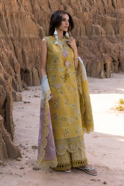 Rang Rasia Luxury 3 Pc