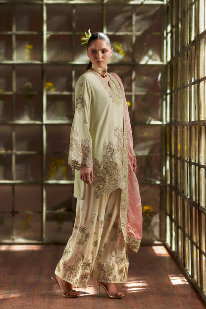 11000 Velvet Embroidered Luxury 3pc Article With silk Trouser Pista color