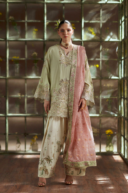 11000 Velvet Embroidered Luxury 3pc Article With silk Trouser Pista color
