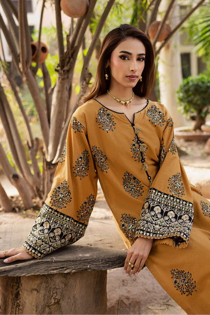 Ethnic lawn 2pc luxury