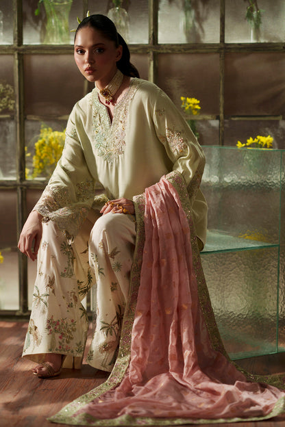 11000 Velvet Embroidered Luxury 3pc Article With silk Trouser Pista color