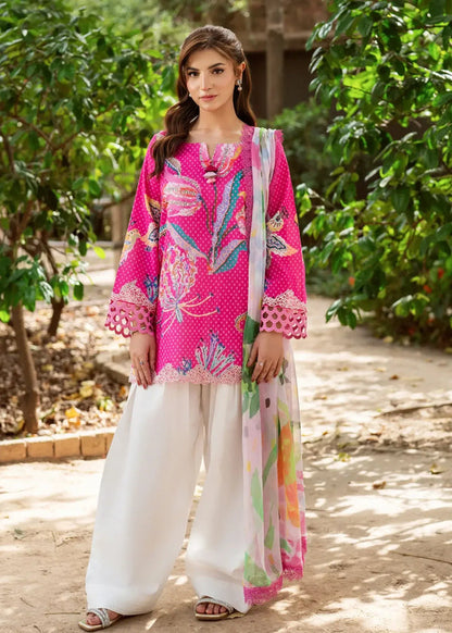 Asifa & Nabeel 3 Piece Article