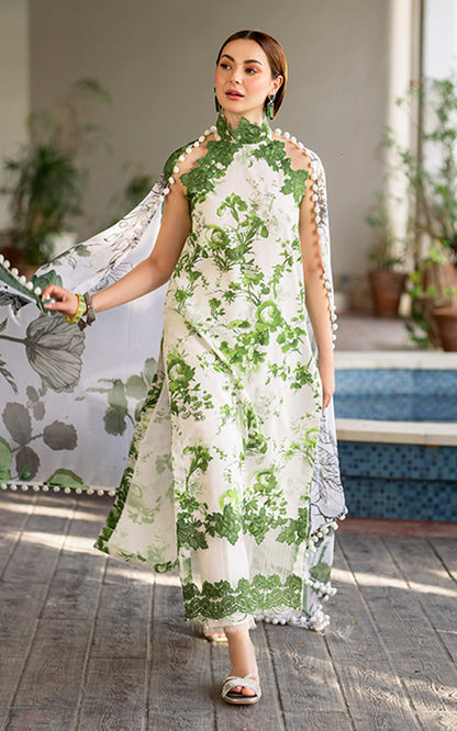 Asifa & Nabeel Printed Lawn 3 Piece